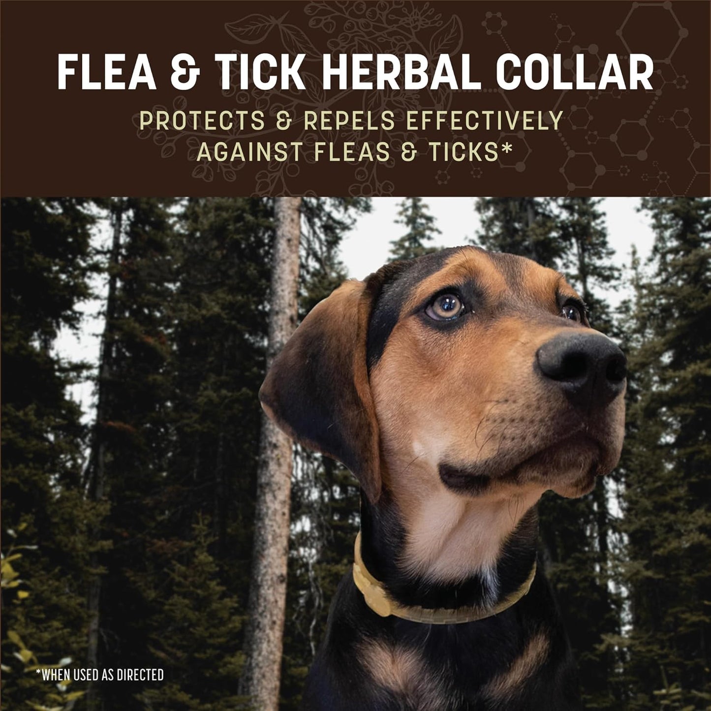 Earth Animal Apothecary Natural Flea & Tick - Herbal Collar for Large Dogs - 1 Collar