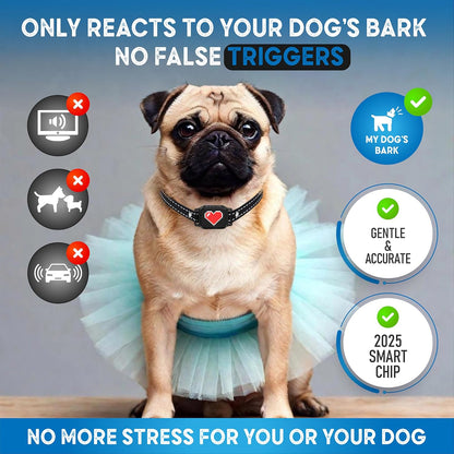 2 Pack Bark Collar for Small Dogs 5-15 lbs with Magnetic Charging – No Shock, 3 Beep & Vibration Modes, 5 Sensitivity Levels – Humane Stop Anti-Barking Device – Dog Training Bark Collar (Black/RH)