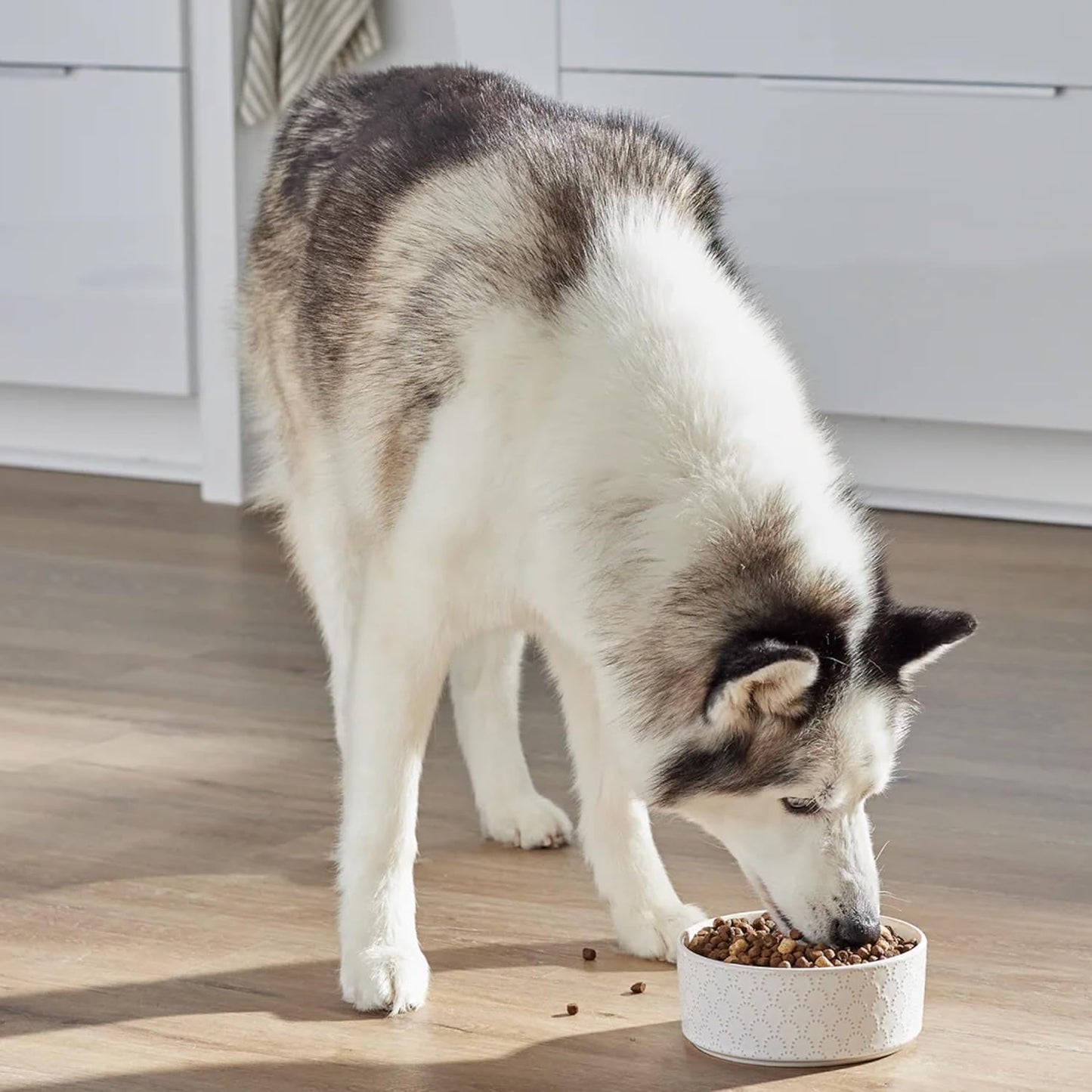 Open Farm, RawMix Dry Dog Food with Ancient Grains, Protein-Packed Kibble Coated in Bone Broth with Freeze Dried Raw Chunks, Pollock Beef & Salmon, Tide & Terrain Recipe, 3.5lb Bag