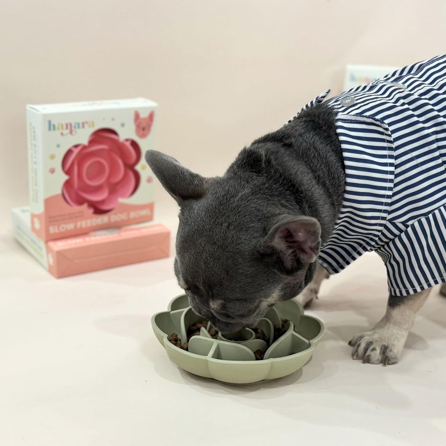 Hanara Sillicone Slow Feeder Dog Bowls & Lick Mat with Suction Bottom | Rose Petals Design | Promotes better digestion, prevent choking | Dish Washer Safe | Great Size For All Breed (Rose Quartz Pink)