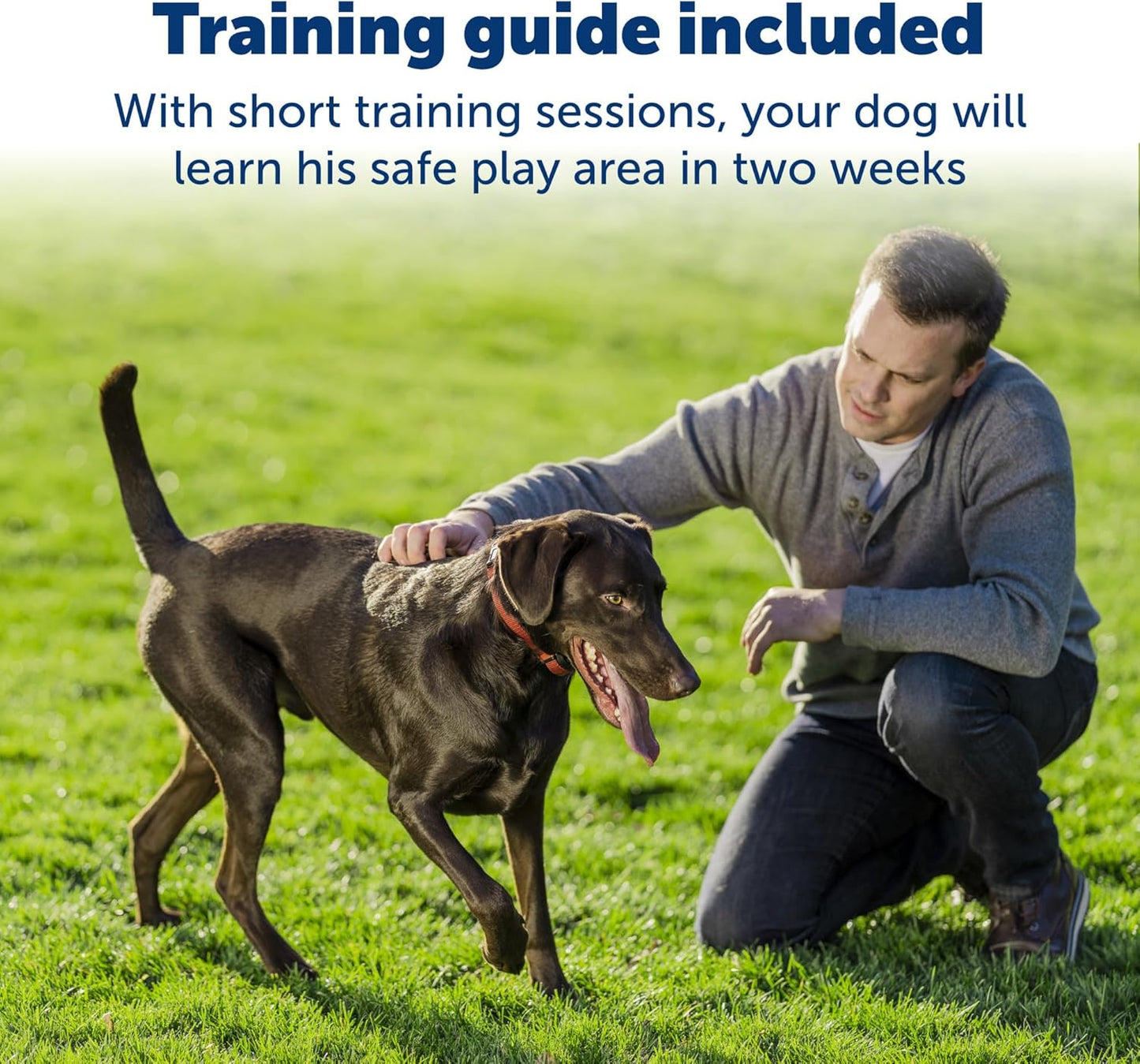 PetSafe Stay & Play Wireless Fence Receive Collar for Stubborn Dogs - Rechargeable & Waterproof Receiver Collar with Quick Charge in 2-3 Hours - for Dogs 5lb+