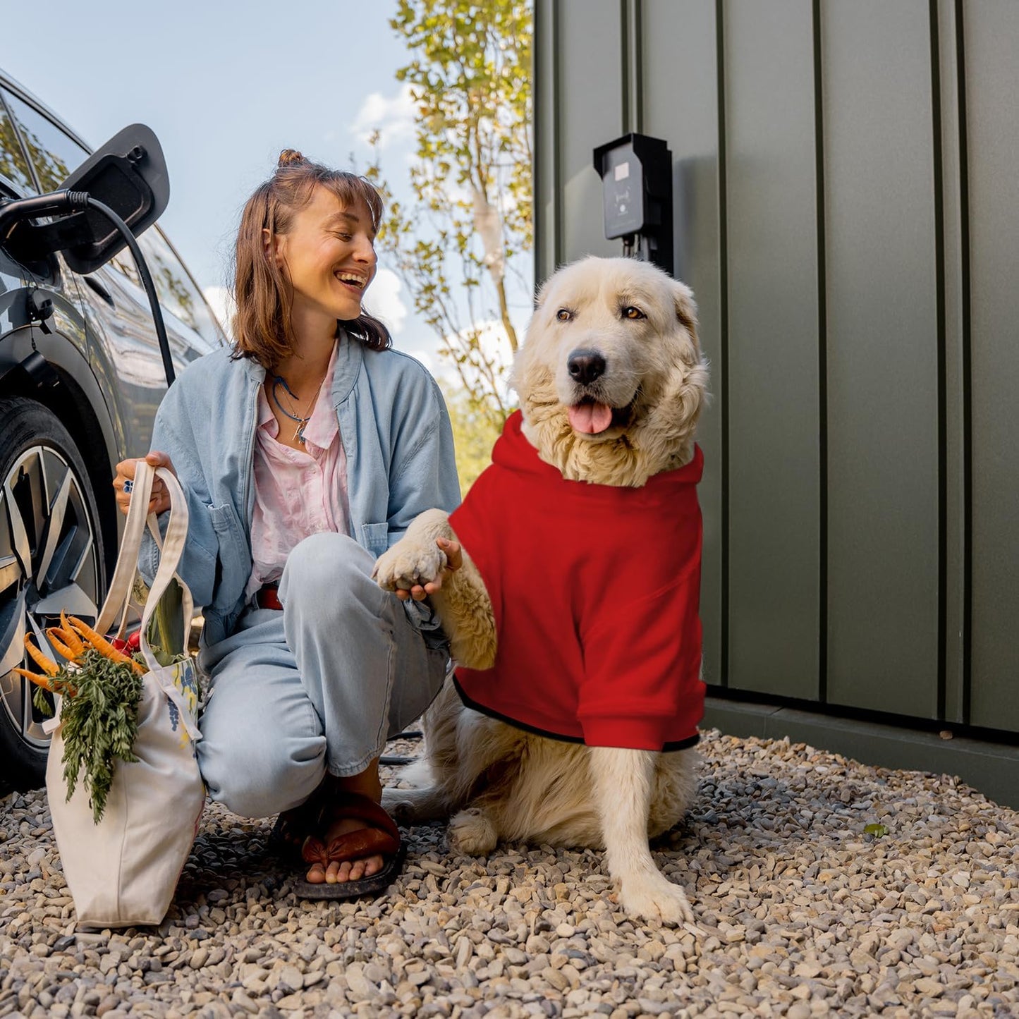 Custom Dog Hoodie, Personalized Dog Sweatshirts with Pet Face Name Photo for Small Medium Large Dogs Cat Puppy Pitbull Clothes Sweater Outfits Custume
