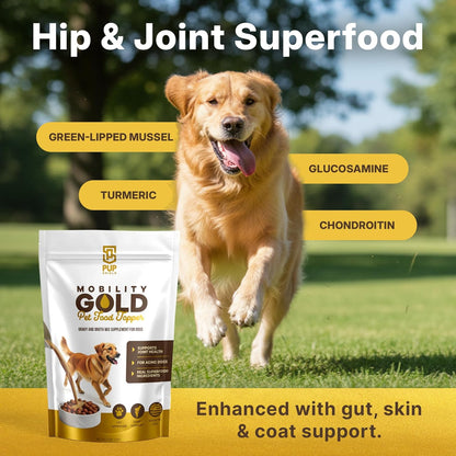 Mobility Gold Dog Broth Powder - Hip & Joint Superfood – Makes Gravy Topper or Liquid Broth – Beef Liver, Glucosamine, Chondroitin, Pet Supplements and Natural Ingredients – 30 Scoop Pack
