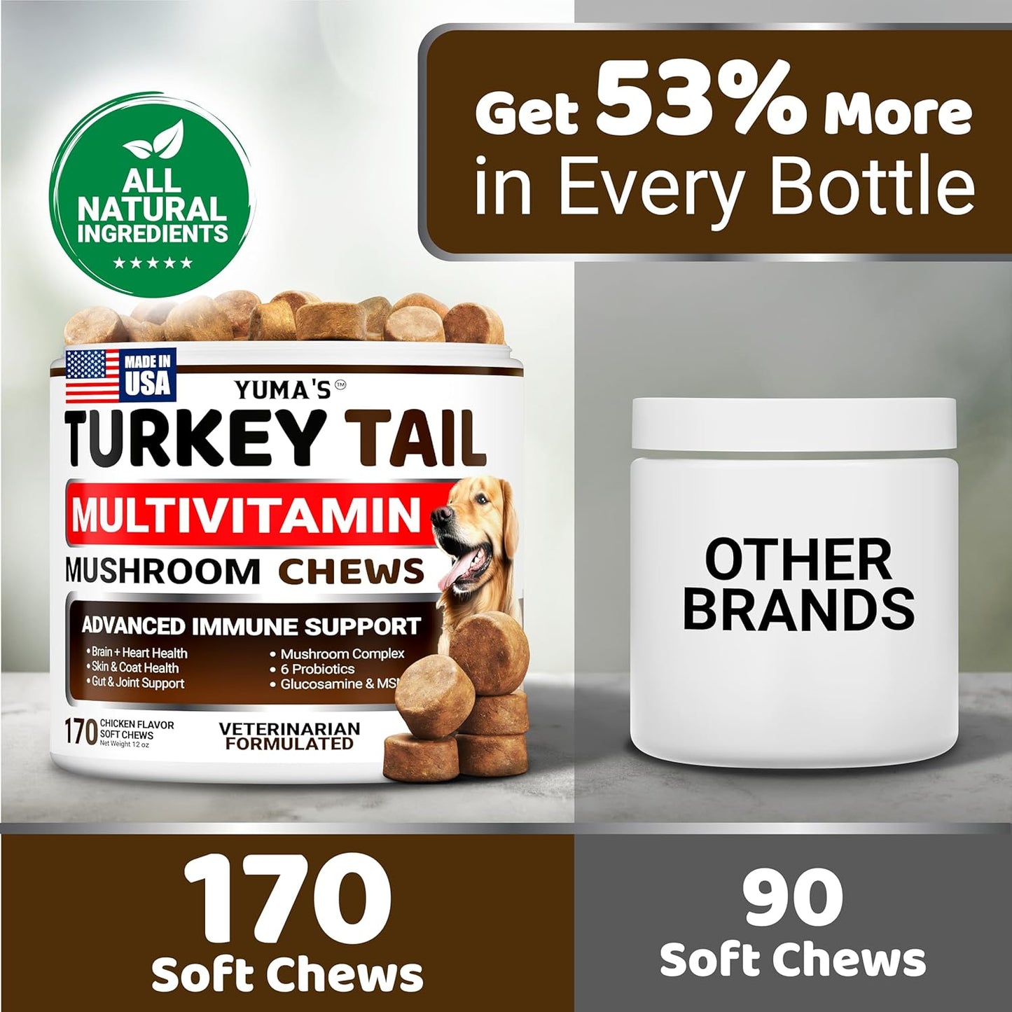 Turkey Tail Mushroom for Dogs - 170 Count - Mushroom Chews for Dogs Lipoma Lumps and Bumps - Immune, Digestive, Skin, Energy & Joint Health - Buddy Overall Health Guard - Dog Multivitamin Supplement