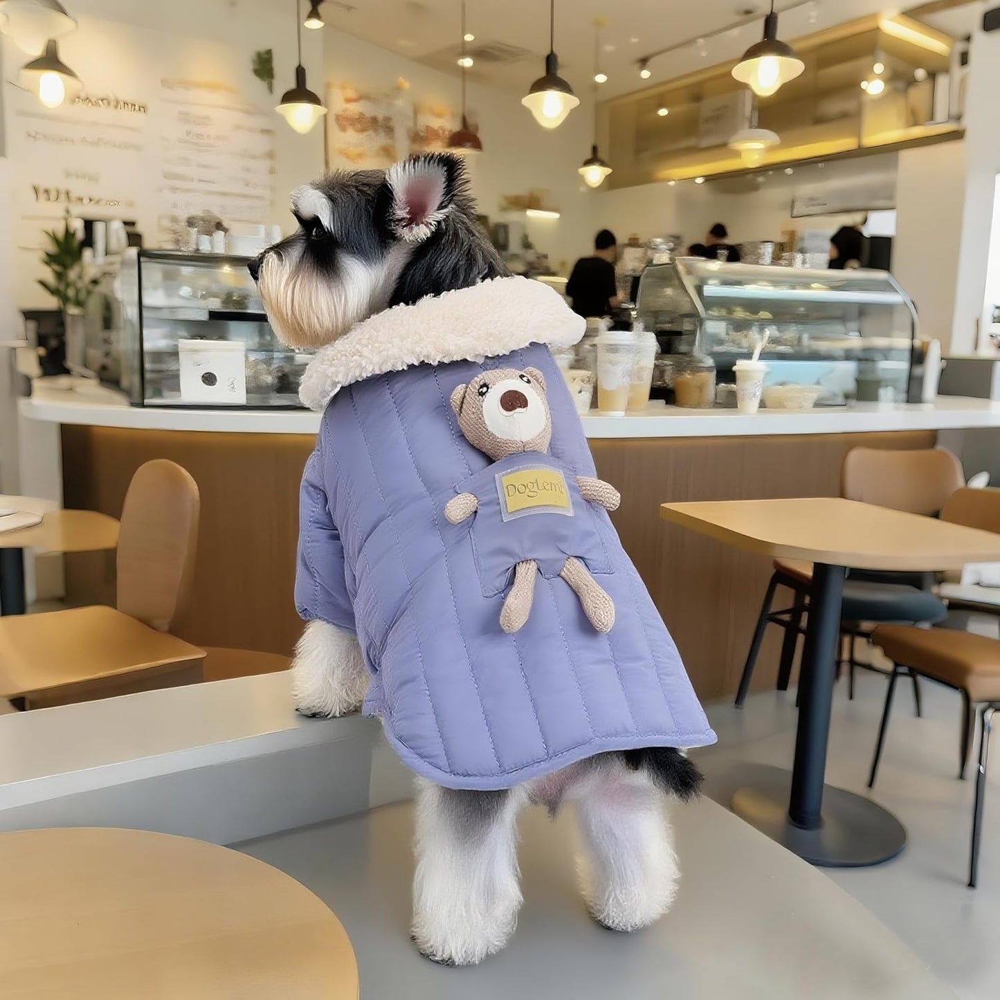 Cute Dog Winter Coat with Detachable Bear Toy, Fleece Lined Puffer Jacket for Small Dogs & Puppies, Warm Vest with Soft Sherpa Collar & Harness Hole (Blue, Medium)