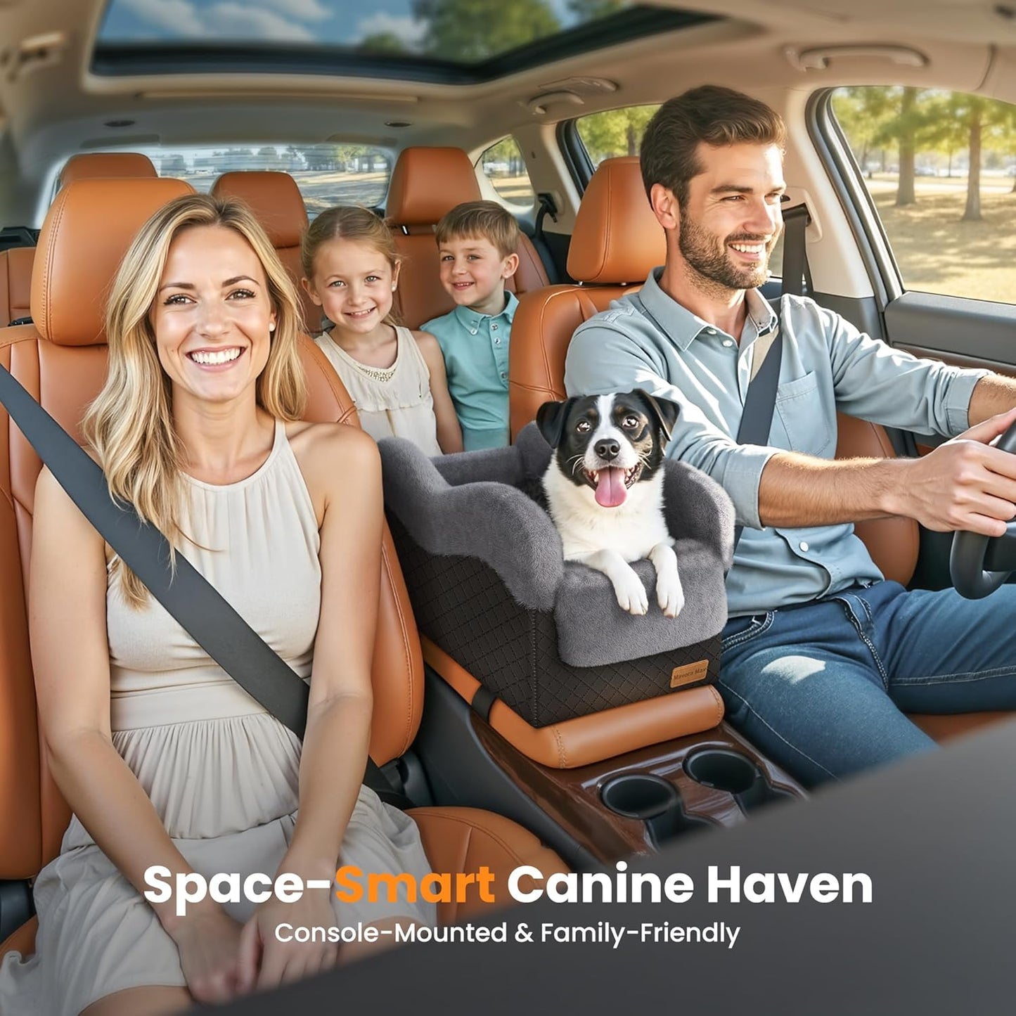 Portable Small Dog Seat for Car, Luxury Center Console Dog Car Seat Booster with Safety Tethers, Anti-Collapse Pet Travel Carseat for SUV, Truck (Black/Grey)