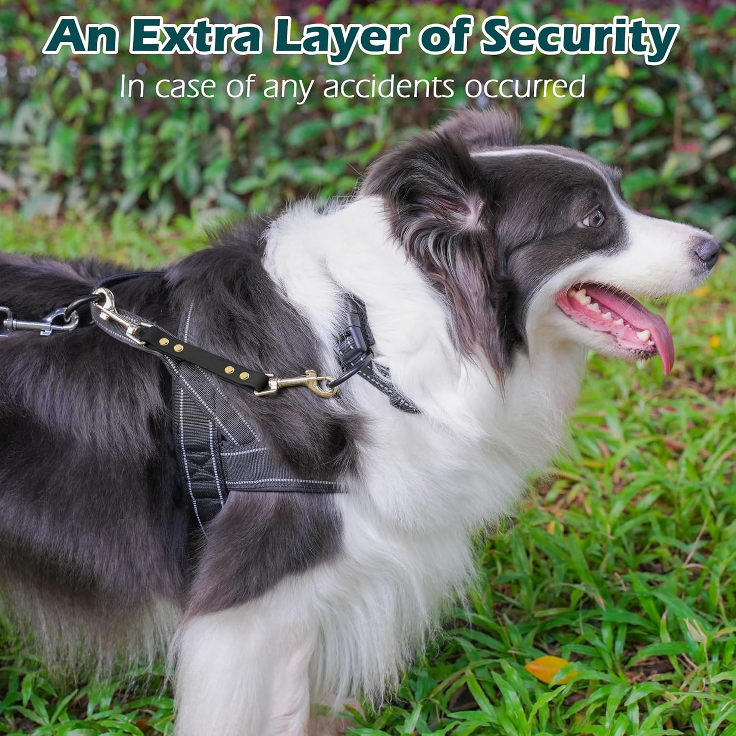 PetBonus Heavy Duty Tactical Dog Leash and Waterproof Dog Collar Safety Clip