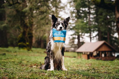 Muenster Adult Dry Dog Food - 22lb Bag Ancient Grain w/Ocean Fish & Freeze-Dried Meatballs Barnyard Chicken Recip