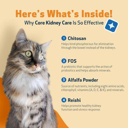 Pet Wellbeing Core Kidney Care for Cats - Daily Phosphate Binder, Supports Healthy Kidney Function with FOS, Chitosan, Probiotics - Veterinarian-Formulated 5.08 oz (144 g) Powder