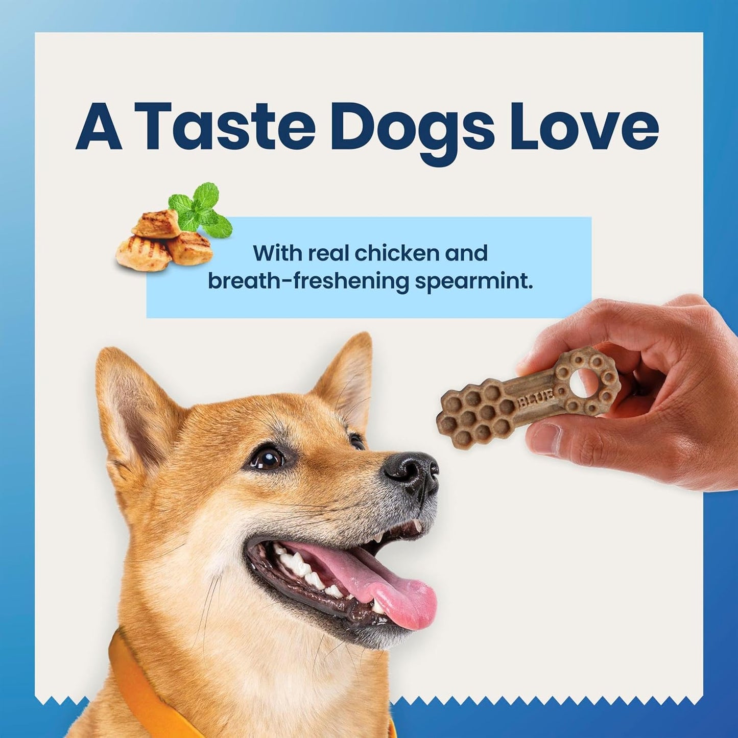 Blue Buffalo Dental Chews Small Natural Dog Treats, Chicken & Spearmint 11.3-oz Bag (28 Count)