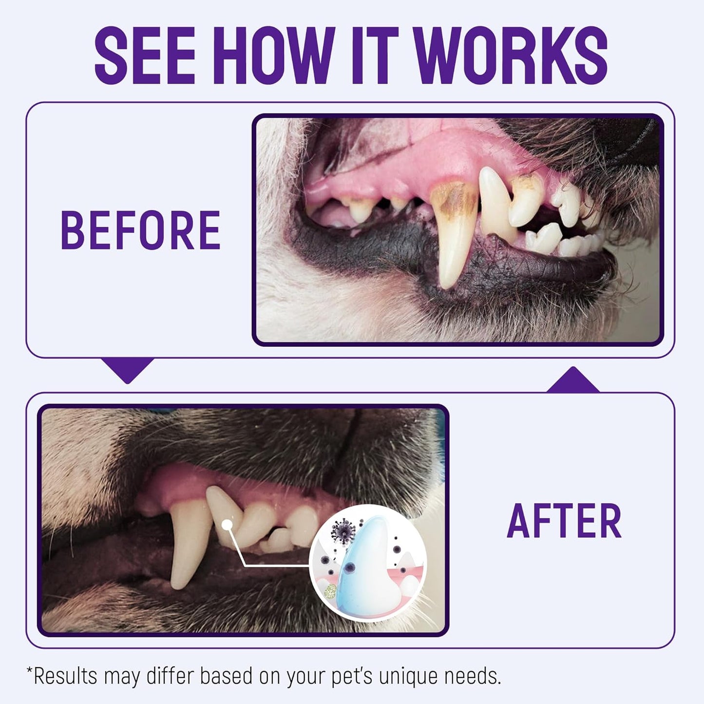 SILVER GRADE Teeth & Gum Dog Breath Spray for Pets Mouth – Cat Dental Care with Silver – Dog Breath Freshener Helps with Tartar & Caries – Plaque Remover for Daily Use – 4 Oz