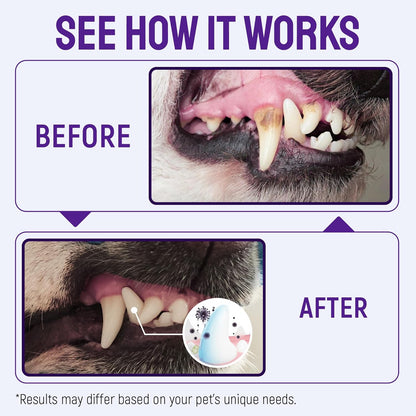 SILVER GRADE Teeth & Gum Dog Breath Spray for Pets Mouth – Cat Dental Care with Silver – Dog Breath Freshener Helps with Tartar & Caries – Plaque Remover for Daily Use – 4 Oz