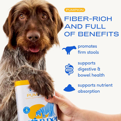 Native Pet Omega Oil for Dogs & Pumpkin for Dogs | Dog Fish Oil Supplements | All-Natural, Organic Fiber for Dogs | 8 Oz. Omega Oil & 16 Oz. Pumpkin Powder