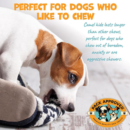 Camel Skin Dog Chews for Aggressive Chewers - Hypoallergenic Natural Collagen Sticks for Dental Health & Protein Boost - Long Lasting Treats for Large Dogs