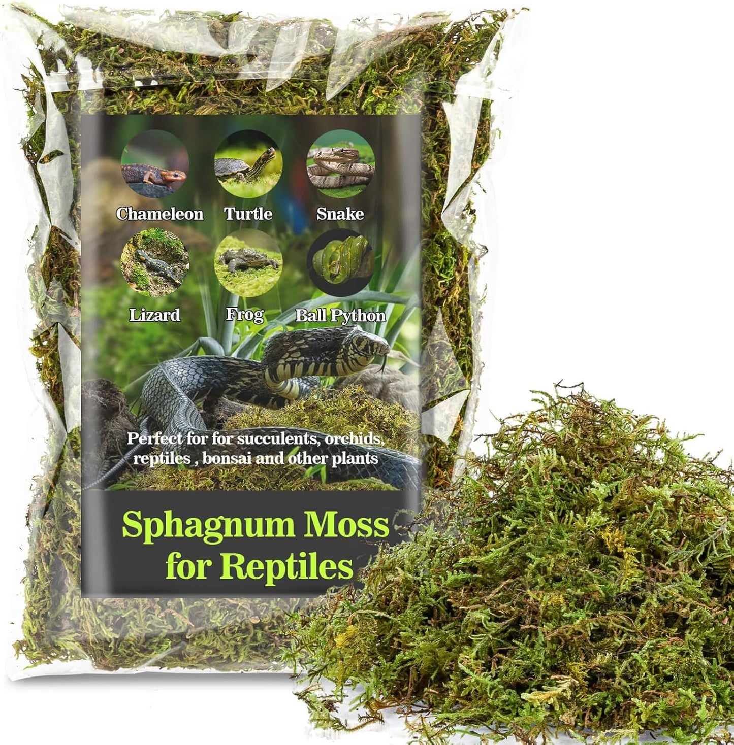 Sukh Sphagnum Moss for Reptiles -Terrarium Moss for Reptiles Peat Moss for Reptiles Habitat Bedding Moss for Snakes Turtle Frog Gecko and Other Reptiles Substrate (30, Ounces)