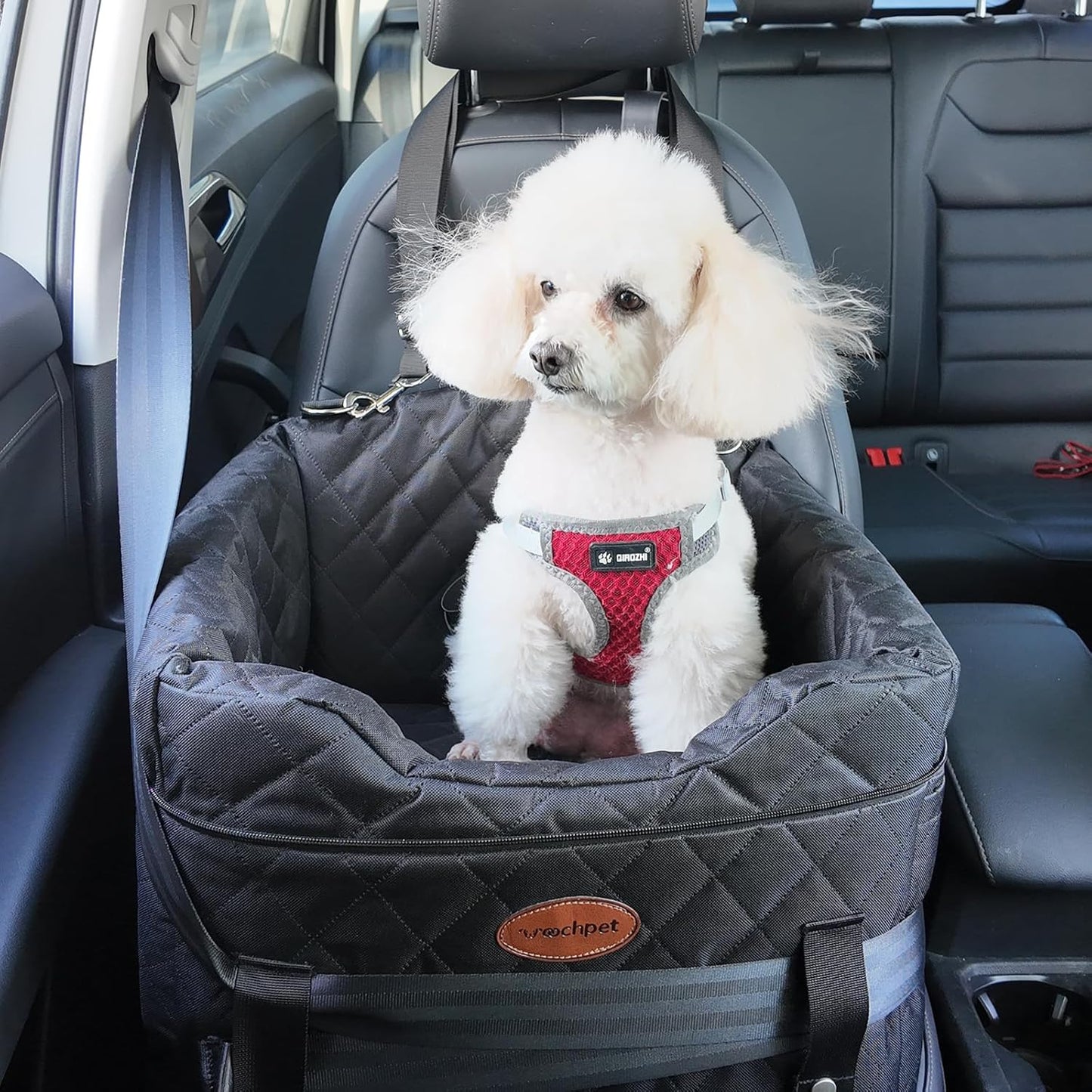Dog Car Seat with Loops Dog Booster Seat for All Seasons, Anti Slip Bottom Pet Travel Bed with Thick Pets Sofa Cushion and Storage Pockets for Small Pets（Black）