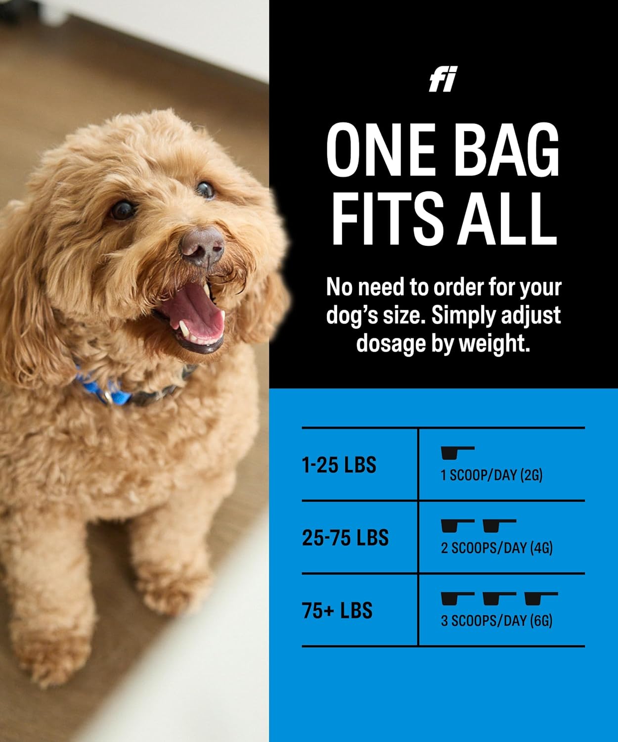 Fi Dog Supplements - Skin & Coat Powder Food Topper | Supports Healthy Skin & Shiny Fur | Omega-3 Fish Oil, Biotin & Zinc | Vet-Formulated Coat Defense Powder for Dogs | 90 Scoops