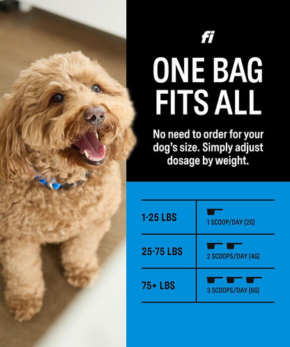 Fi Dog Supplements - Skin & Coat Powder Food Topper | Supports Healthy Skin & Shiny Fur | Omega-3 Fish Oil, Biotin & Zinc | Vet-Formulated Coat Defense Powder for Dogs | 90 Scoops