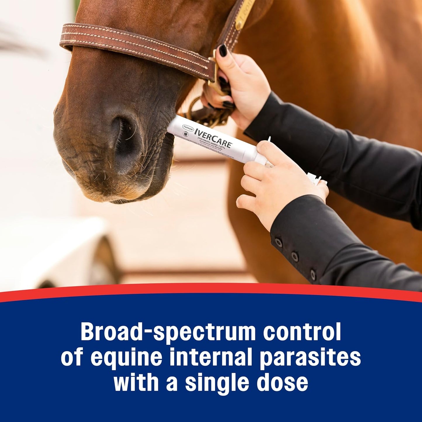Farnam IverCare (ivermectin Paste) 1.87% for Horses, Anthelmintic and Boticide, 0.21 Ounces, Horse Dewormer, Ivermectin Apple-Flavored Paste, Up to 1,250 lbs