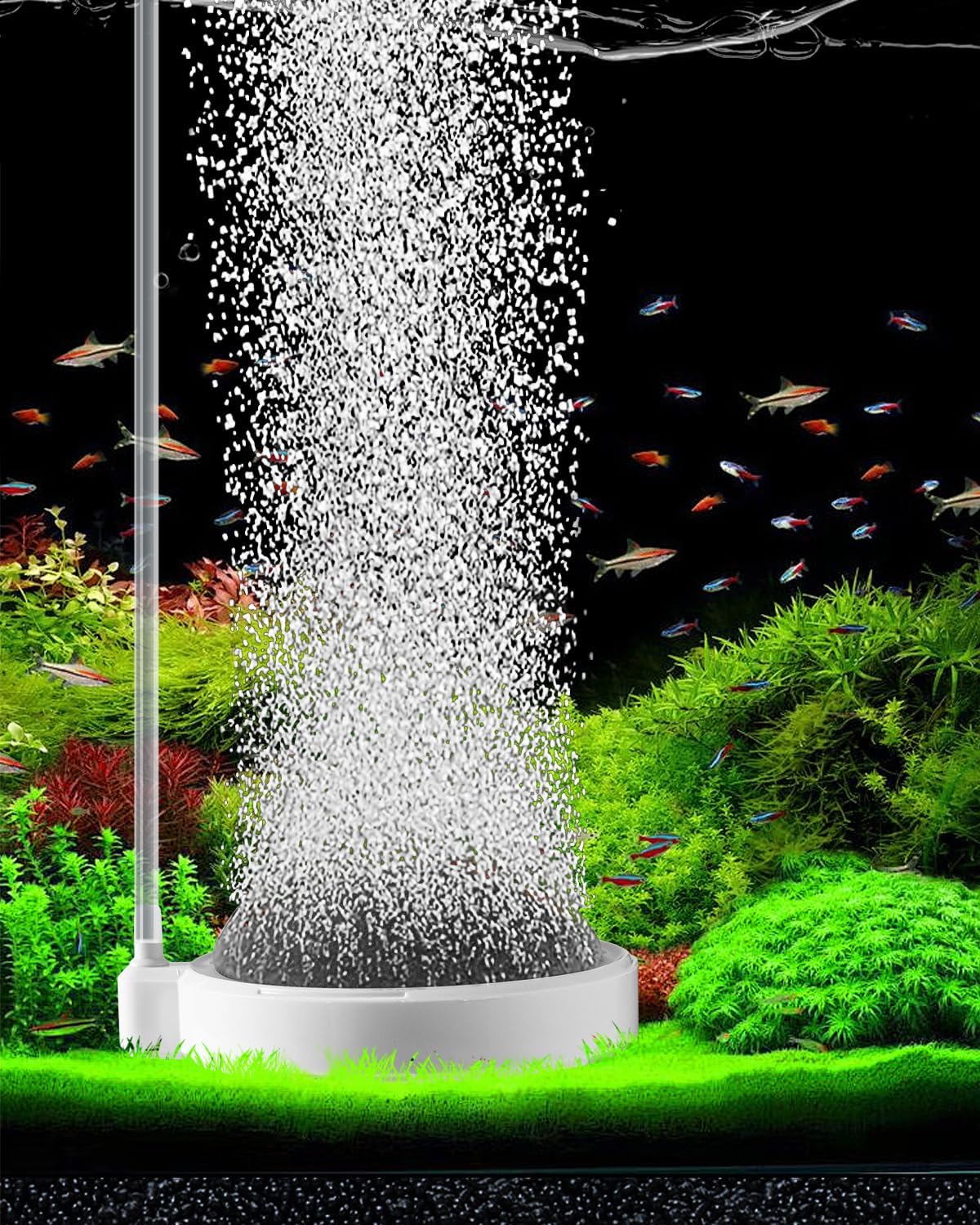 Air Stone for Aquarium Fish Tank Bubbler, 3.2 Inch Nano Air Bubble Stone Aerator Accessories Bubbler for Fish Tank Air Pump Hydroponics