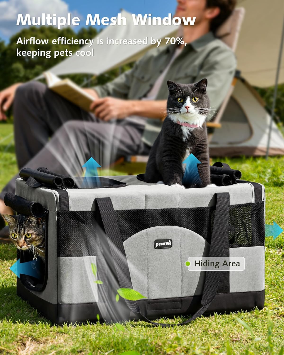 Pecute Cat Carrier for 2 Cats,Dual Cabin Multi Cat Travel Carrier with Removable Divider and Sturdy Frame,Collapsible,Soft,can Hold 20lbs+ for 2 Small Kitten,Medium Dog,Extra Large for Travel,Gray