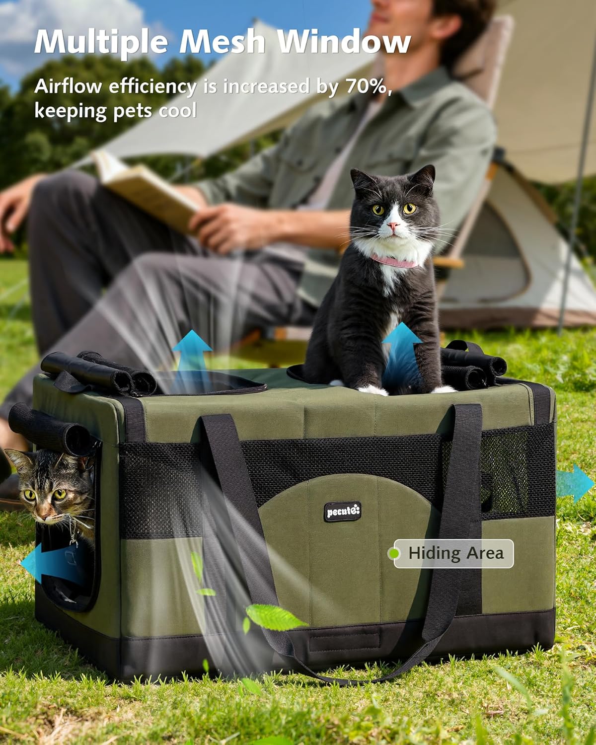 Pecute Cat Backpack Carrier + Cat Carrier for 2 Cats