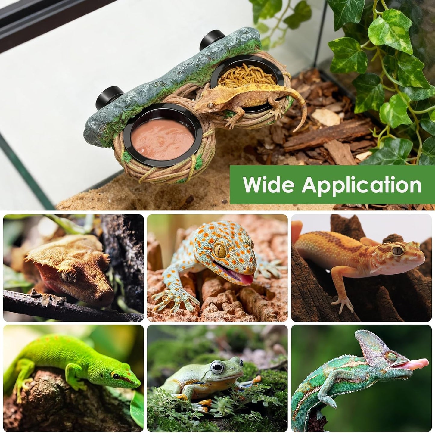 MIXJOY Magnetic Crested Gecko Feeding Ledge with 4PCS Feeding Cups, Reptile Feeder Ledge with Double Bowls Design, Hollow Vine Look, Reptile Food Water Dish for Bearded Dragon Lizard Chameleon Snake