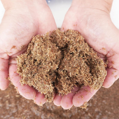 Natural Premium Sphagnum Moss Fiber Substrate for Hermit Crab, Ideal Accessories for Hermit Crab Tanks, Great for Mixing with Hermit Crab Sand