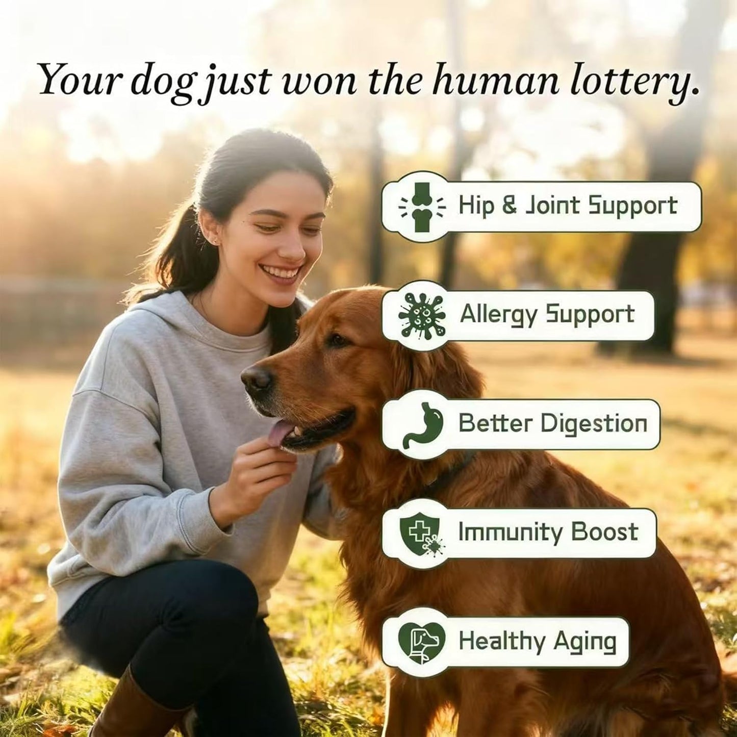 Dog Supplies - Dog Multivitamin Powder with Chondroitin, Omega 3, Probiotics for Hip & Joint Support, Skin & Coat Health, and Digestion. Easy-Mix Powder Supplement for Dogs - 250g