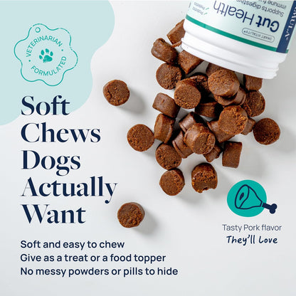 Veterinary Formula Gut Health Supplement for Dogs – Vet-Formulated Probiotic Chews with Digestive Enzymes & Fiber – Smart Vitality Supports Digestive Health, Gut Balance & Stool Quality, 60 Soft Chews