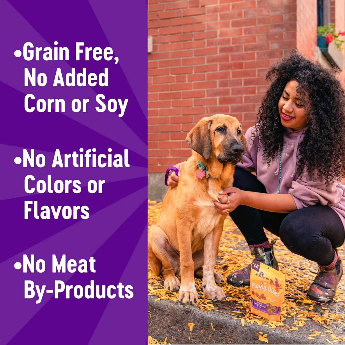 Wellness Puppy Treats, Natural, Training Treat, Grain Free, Soft Lamb & Salmon (8 Ounce Bag)