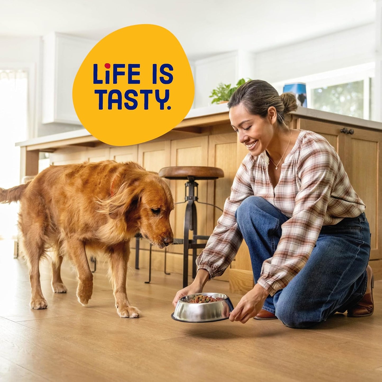 Kibbles 'n Bits Original Savory Beef & Chicken Flavor Dry Dog Food, 31 Pound Bag