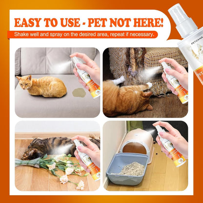 Cat Deterrent Spray: 100ml Natural Bitter Formula Spray to Stop Chewing & Scratching, Safe Indoor/Outdoor Anti-Chew Training Aid for Furniture, Sofas, Curtains - No Alcohol/Toxic for Cats Kittens