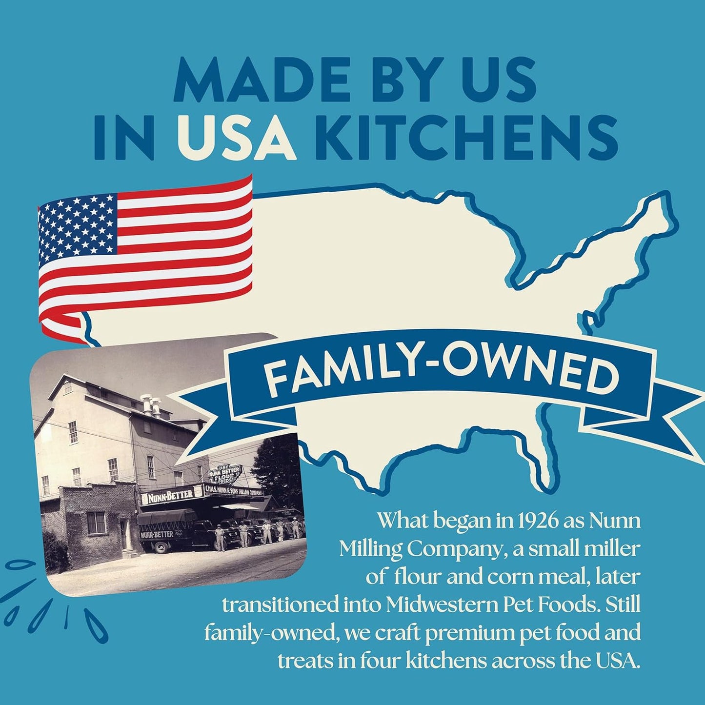 Earthborn Holistic Unrefined Smoked Salmon Recipe with Ancient Grains & Superfoods Dry Food for Dogs and Puppies (4 lb. Bag)