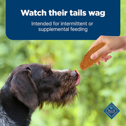 Blue Buffalo Nudges Jerky Bites Dog Treats, Made in the USA with Natural Ingredients, Bite-Sized Pieces, Chicken, 16-oz Bag