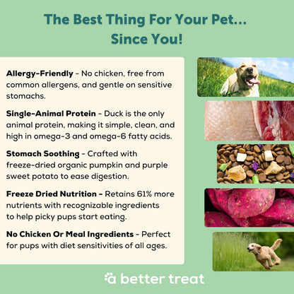 A Better Treat | Allergy Friendly Duck Dry Dog Food | Raw You Can See | No Chicken, Duck Only Animal Protein, No Meal Ingredients, Grain Free | Stomach Soothing Kibble + Freeze Dried Raw Dog Food