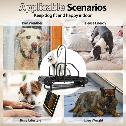 New Dog Treadmill for 2026, Non-Electric Treadmill for Dogs with Step Counter, Adjustable Incline & Brake, Dog Treadmills Suitable for Indoor and Outdoor, Supports Up to 300 lbs