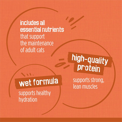 Purina Friskies Wet Cat Food Gravy Variety Pack, TurChicken Extra Gravy Chunky, Meaty Bits and Prime Filets - (Pack of 80) 5.5 oz. Cans