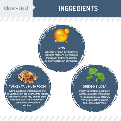 Chew + Heal Labs Senior Dog Vision and Cognition Chews - 60 Soft Chews for Dog Eye Care and Memory - 7-in-1 Multivitamin with Omega Fatty Acids, Vitamins, and Botanicals - Made in The USA