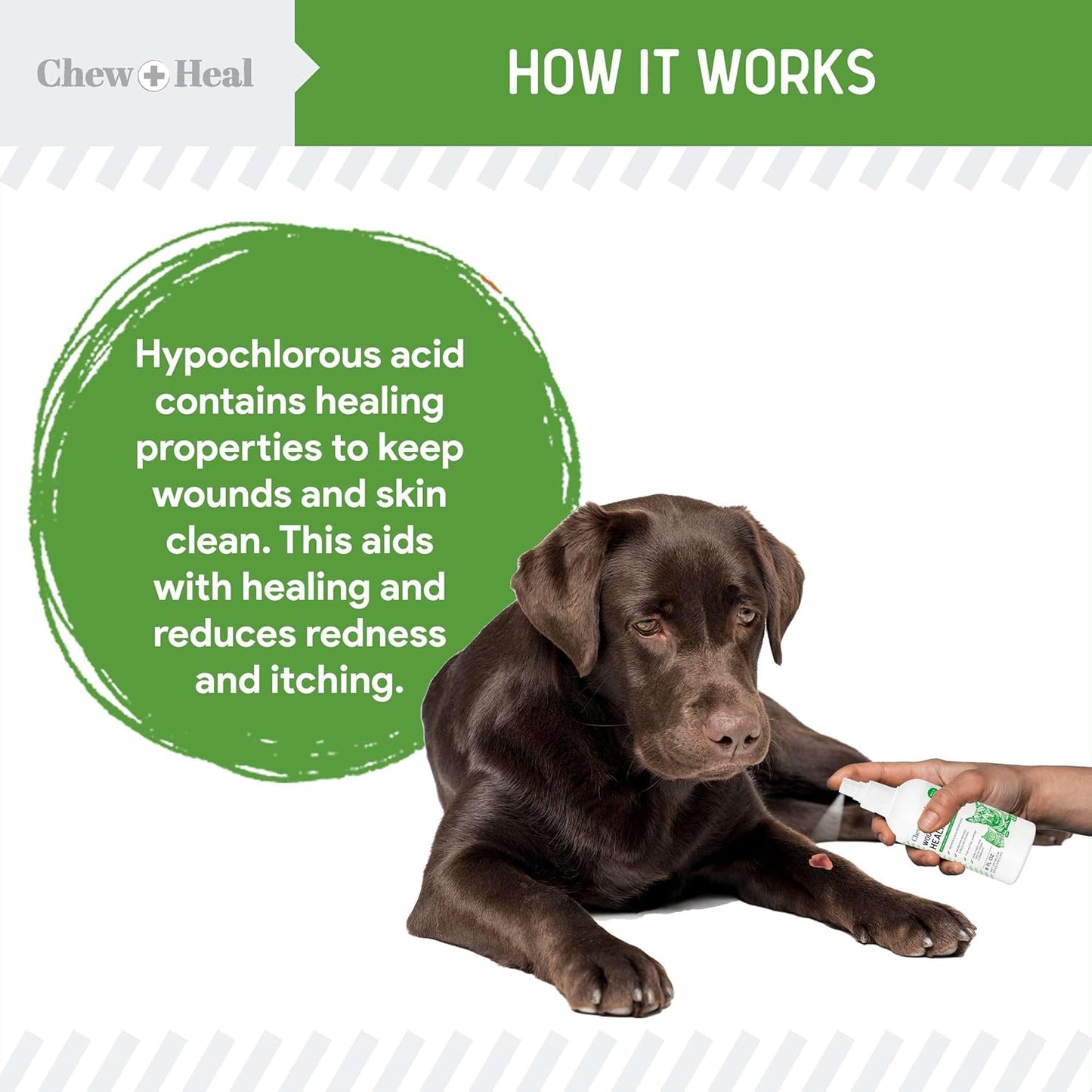 Soothe & Heal Fast - Natural Dog Wound Spray for Cuts, Hot Spots & Itchy Skin - Non-Toxic Hypochlorous Acid - Sting-Free Relief Made in USA, 4 oz