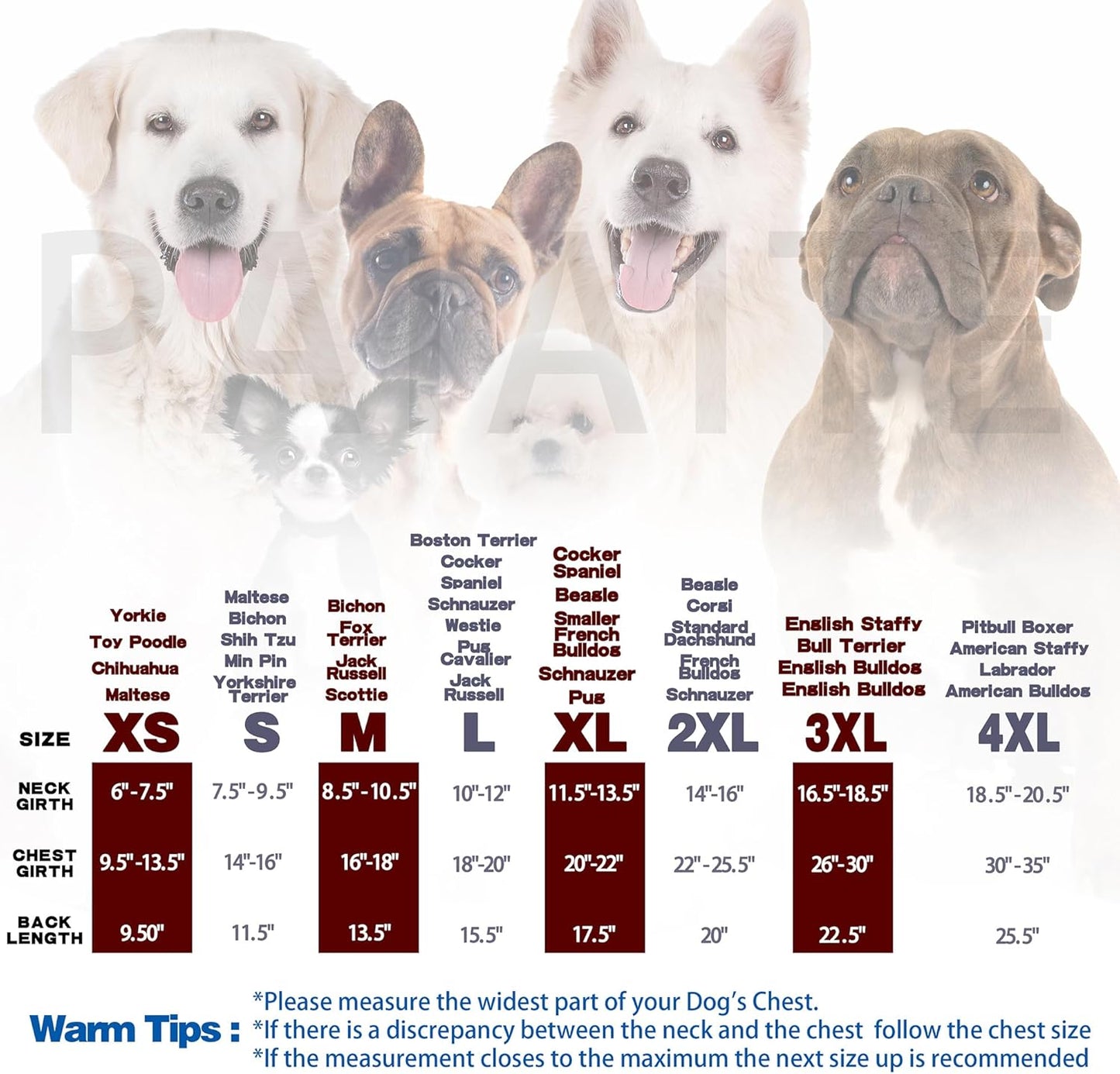 Personality Canine Attire: Soft, Lightweight Cotton Dog Clothes with 'The Dog Face' Print. Small and Medium Breeds, Perfect for Everyday Wear, Comfortable and Breathable Dog Shirt Grey M