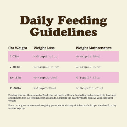 Now Fresh Grain-Free Dry Cat Food with Turkey, Salmon & Duck, Healthy Kibble for Adults Made with Real Meat & Fish, Chicken-Free, with Pumpkin & Probiotics for Sensitive Stomachs, 3 lb Bag