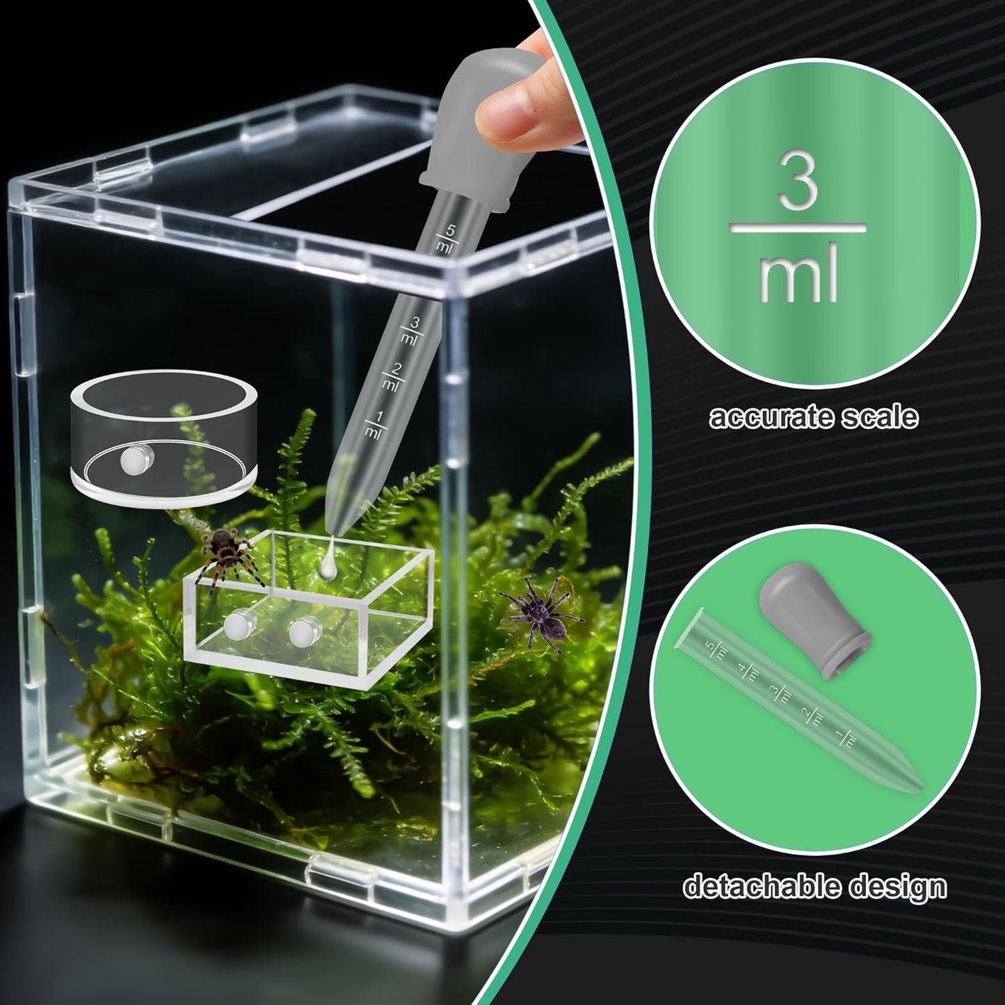 Windspeed 2+1P 1.8 in Mini Jumping Spider Feeding Dish Magnet Tarantula Water Bowl for Spider Feeder Water Dish for Tarantula Tank Enclosure Accessories, with A Dropper