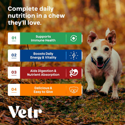 Vetr Multivitamin Treats for Dogs - Grain Free Dog Vitamins and Supplements for Skin & Coat, Glucosamine Chondroitin Joint Support - Chicken Flavored 60 Count - Vet-Formulated in USA