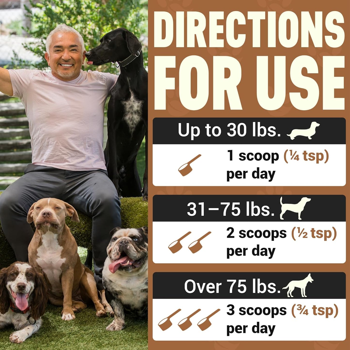 Better Dog Supplements Inner Purity by Cesar Millan – Natural Digestive, Dewormer & Gut Health Powder for Dogs – Internal Cleanliness, Detox & Bowel Movement Support – 3.4oz, (60-Day Supply)