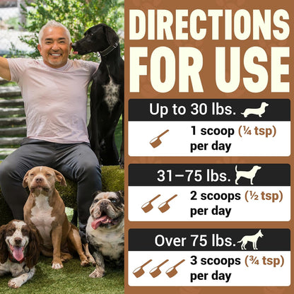 Better Dog Supplements Inner Purity by Cesar Millan – Natural Digestive, Dewormer & Gut Health Powder for Dogs – Internal Cleanliness, Detox & Bowel Movement Support – 3.4oz, (60-Day Supply)