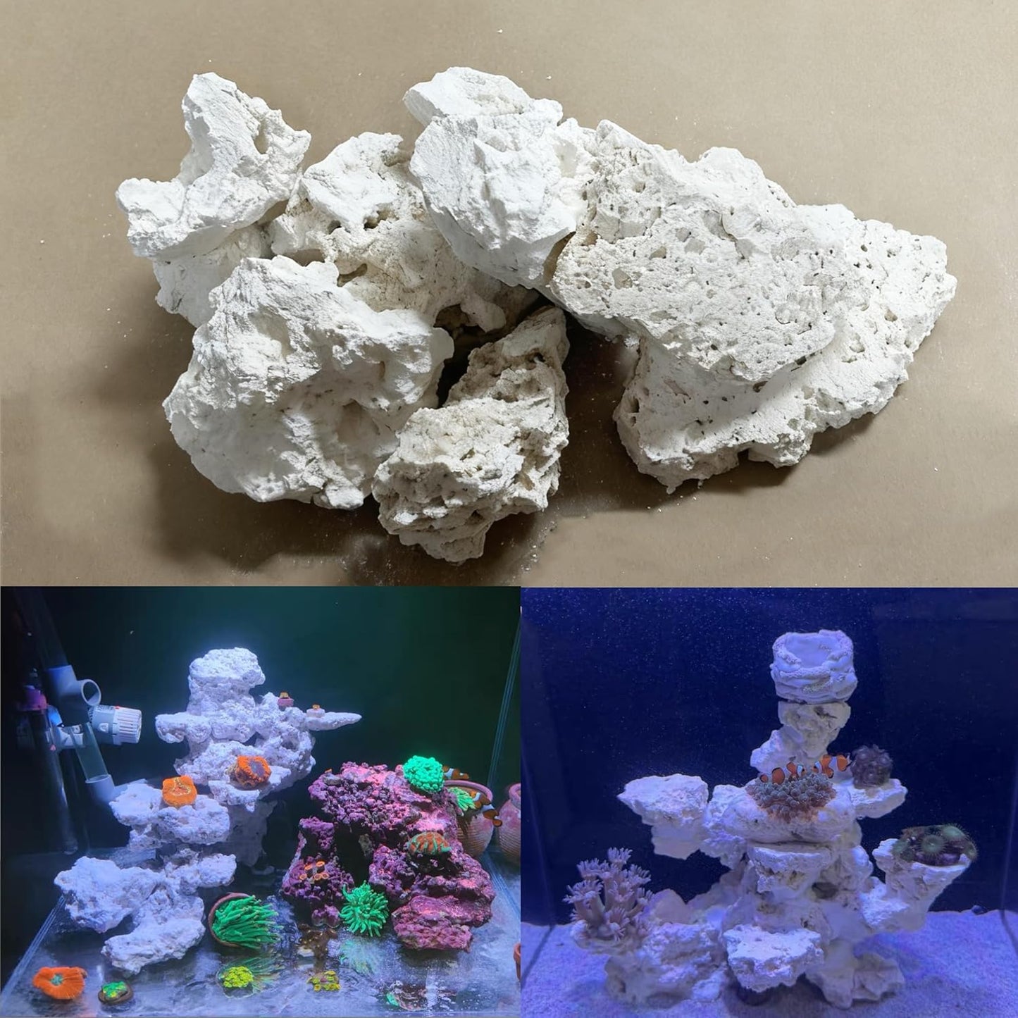 Dry Base Rock for Aquarium White Coral Ornament Sea Base Rocks for Aquarium Aquascaping (7lb,Mix Size & Shape)