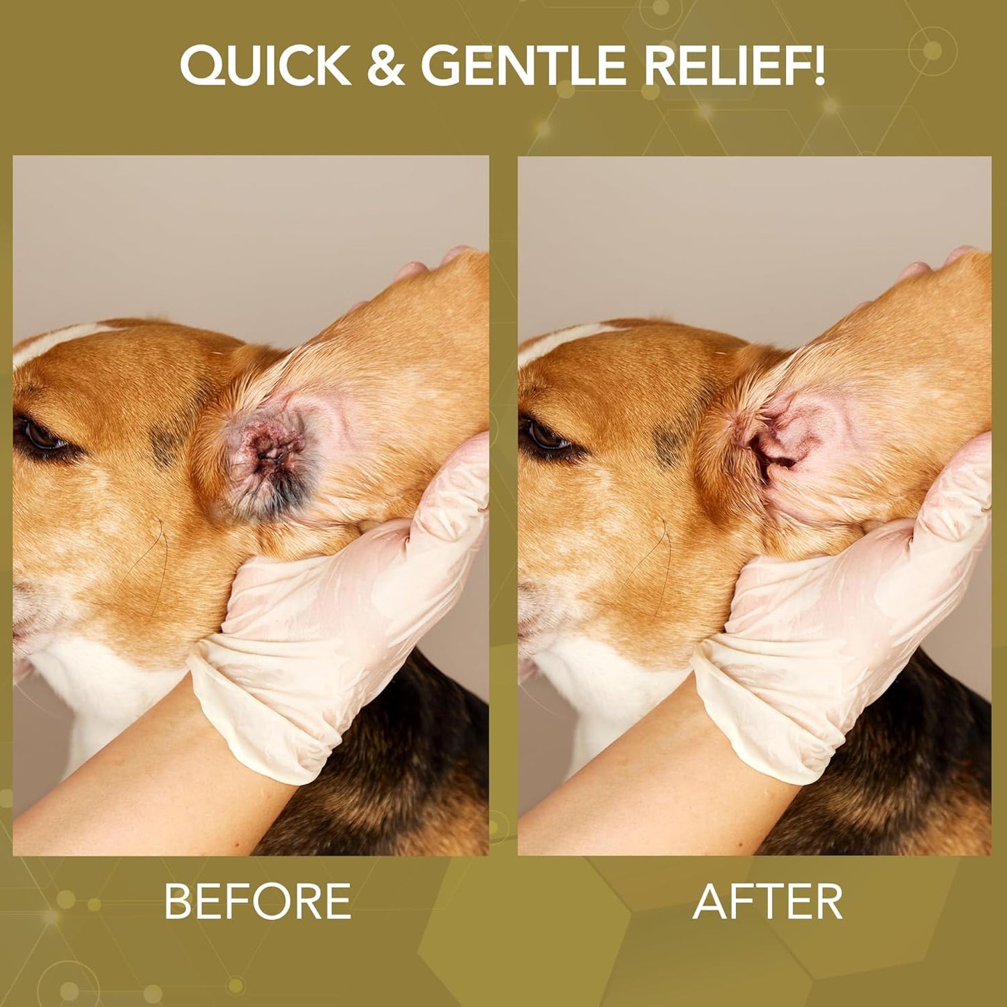 NOVEHA 1 Pet Wipes (150 ct) + Dog Wound Therapy Spray 8 oz | Skin & Hygiene Care Kit for Dogs & Cats