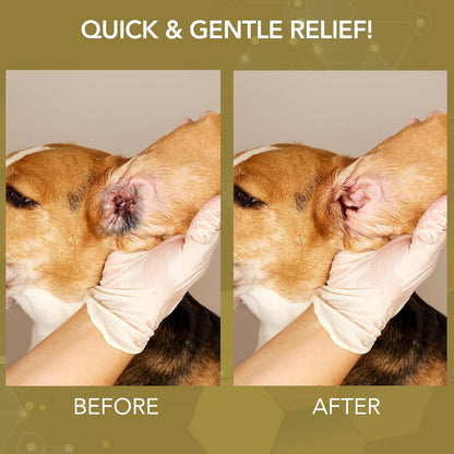 NOVEHA 1 Pet Wipes (150 ct) + Dog Wound Therapy Spray 8 oz | Skin & Hygiene Care Kit for Dogs & Cats