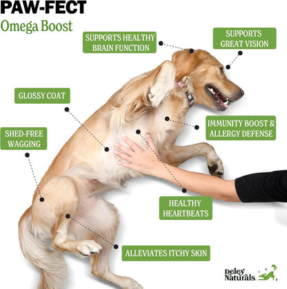 Deley Naturals Dog Fish Oil Icelandic 2X Omega - Dog Itching Skin Relief with Omega 3 6 9 for Allergies, Coat & Heart - Omega 3 Fish Oil for Dogs Skin Irritation - 16oz Omega Oil for Dogs Made in USA